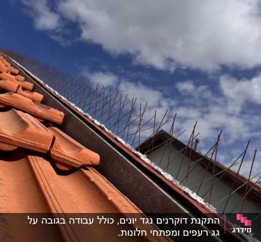 רעפים כתומים עם דוקרנים נגד יונים על גג